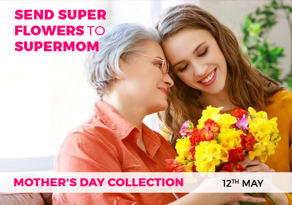 View The Mothers Day Collection