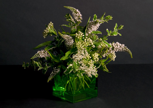 Summer Green Cube - All About Flowers – Our Blog | Flora2000.com