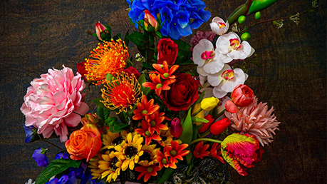 7 Exotic and Ravishing Flowers and Gifts under $50