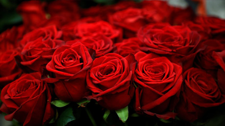 Send Valentine's Day Flowers to USA, Express Your Love