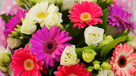 Exquisite Fresh Flowers And Gifts
