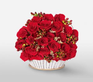 Red Roses for Valentine