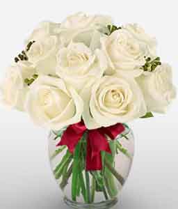 A Dozen White Roses
