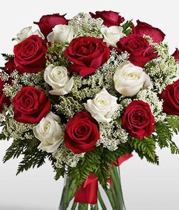 Beautiful Eden - Red & White Roses
