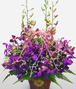 Purple Orchid Basket