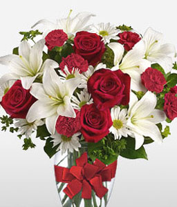 Dawning Glory<Br><span>Glorious Red & White Arrangement</span>