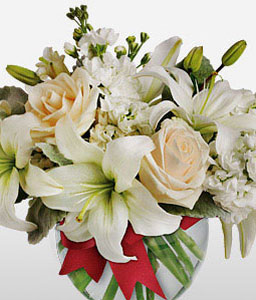 Belleza Blanco <Br><span>Complimentary Vase</span>