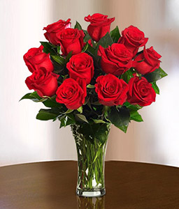 Red Rose Bouquet  <span>12 Red Roses</span>