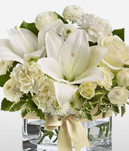 Fairy Floss <Br><span>Complimentary Vase </span>