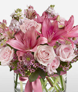 Pink Kiss <Br><span>Complimentary Vase </span>