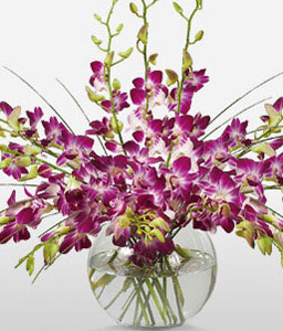 Purple Drops <Br><span>Complimentary Vase </span>