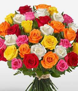 30 Mini Rainbow Roses