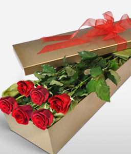 Love In Bloom <Br><span>6 Red Roses </span>