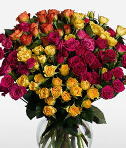 Fantasia 16 Long Stem Spray Roses <Br><span>Special Offer $30 Off </span>