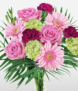 Dazzling Delight <span>Roses + Carnations + Gerberas<span>