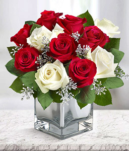 Winter Christmas - Red and White Roses  <span>Free Vase</span>