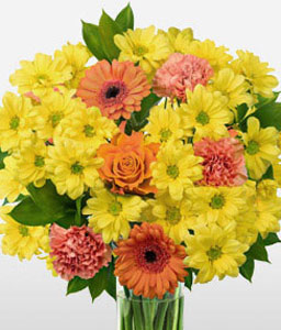 Jubilations<Br><span>Bright Germinis with Roses & Carnations</span>