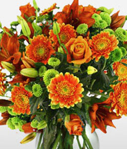 Orange Magnificence <Br><span>Autumn Flowers</span>