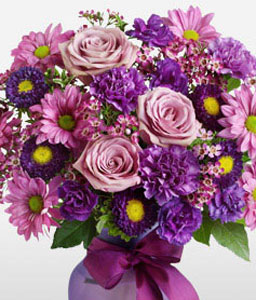 Charming Purple Blossoms