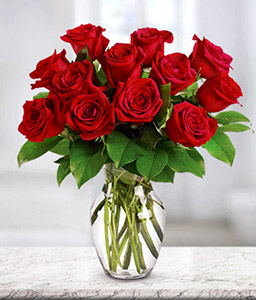 Love Forever - Dozen Red Roses
