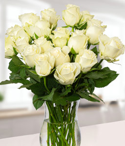 20 Beautiful White Roses