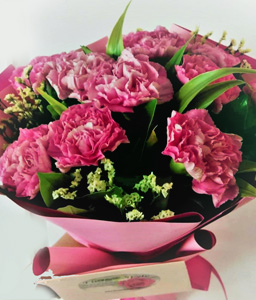 Love For Carnations