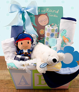 Baby Boy Medium Gift Basket