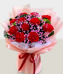 Lovers Rejoice - 11 Carnations Bouquet