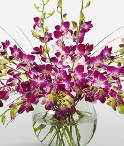 Purple Drops <Br><span>Complimentary Vase</span>