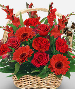 Glowing <Br><Font Color=Red>Red Flowers in Basket</Font>