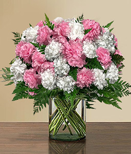 Magical Amour <Br><span>Carnations in Pink & White</span>