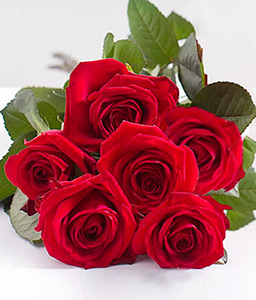 Rosas Rojas - <Br><span>Half Dozen Roses</span>