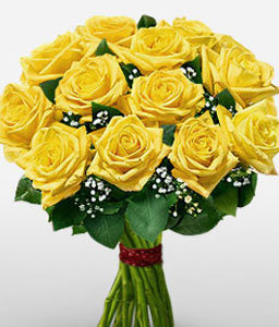 Yellow Beam - 12 Yellow Roses