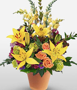 Warm Greetings - Yellow Flowers