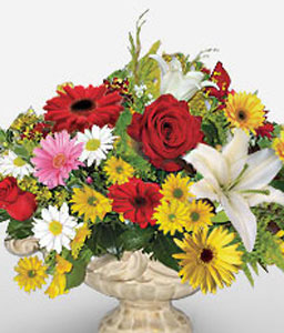 Pipas Perfection <Br><span>Mixed Flowers in Pot</span>