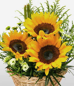 Golden Mile Sunflowers