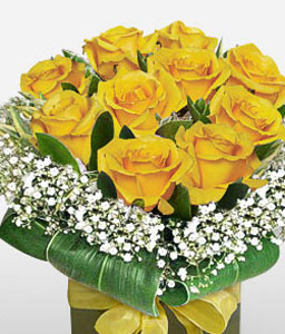 Charmer - 12 Yellow Roses