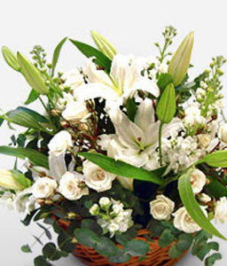 White Haven<Br><span>White Flower Basket</span>