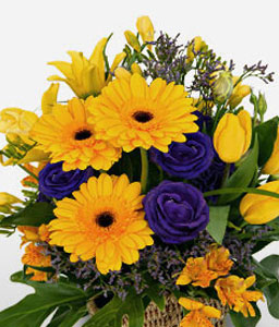 Sunbeams<Br><span>Fresh Yellow Flowers</span>