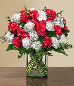 Full Of Love - Red & White Carnations