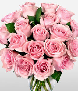 Dozen Pink Roses <span>Sale 50% Off<span>