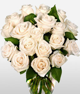 Boracay <Br><span>12 White Roses</span>