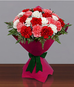 Carnation Carnival<Br><span>Mixed Color Carnation Bouquet</span>