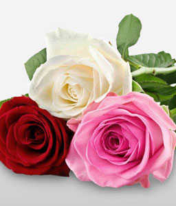 Rose Splendor - 3 Mix Colored Rose Bouquet