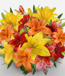 Mixed Asiatic Lilies