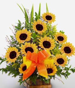 Salsa Dazzle - Sunflowers Arrangement