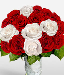 Chic Expressions <Br><span>One Dozen Roses</span>