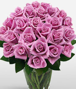 Glowing Pinks<Br><span>Two Dozen Roses - Sale $10 Off</span>