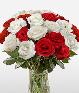 Love and Romance - Red & White Roses