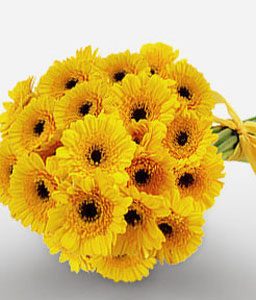 Sunshine Love - Yellow Gerberas